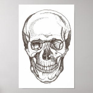 skull poster