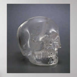 Skull Poster