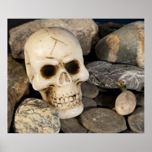 Skull Poster