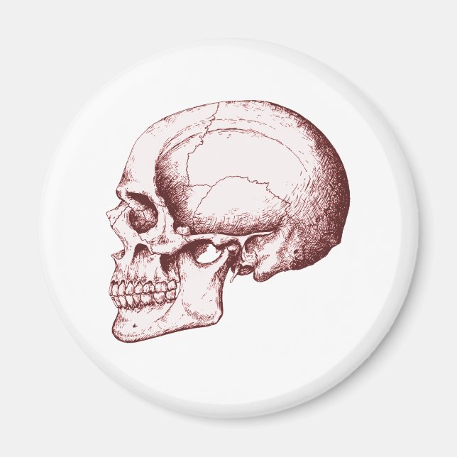 Skull Sid eRed Magnet (Front)