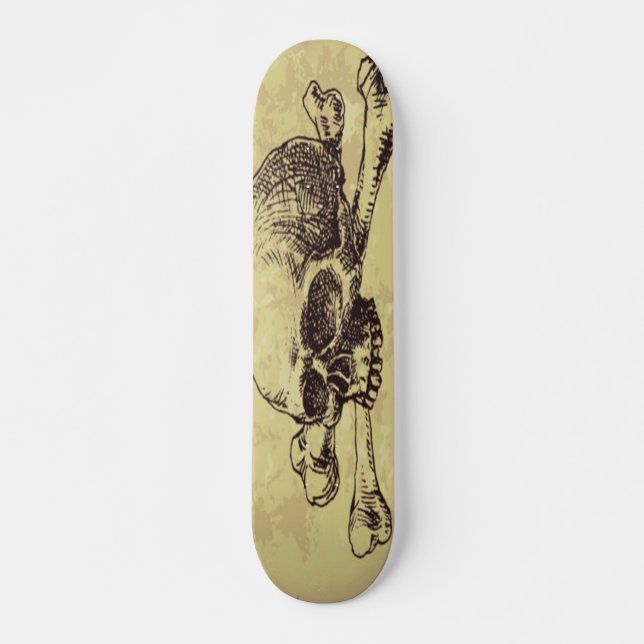 Skull Skateboard (Front)