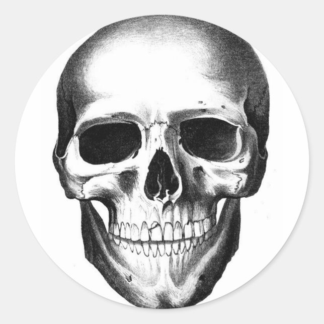 Skull Skeleton Head Scary Creepy Halloween Classic Round Sticker (Front)