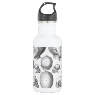 Skull Types 532 Ml Water Bottle