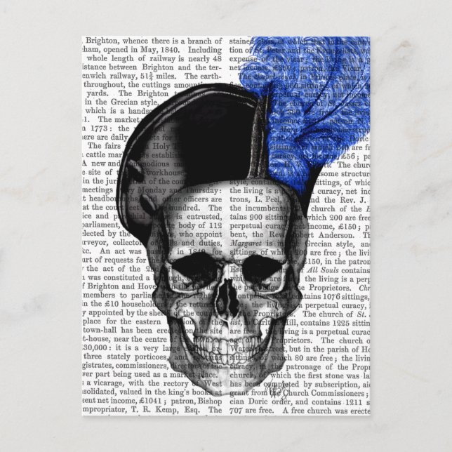 Skull with Blue Hat Postcard (Front)