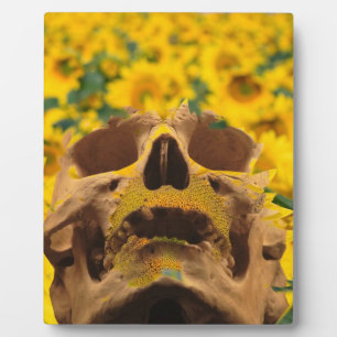 Skull with Flowers Plaque