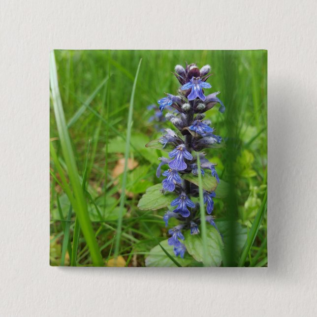 Skullcap Violet Wild Flower 15 Cm Square Badge (Front)