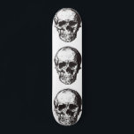 SKULLS COOL SKATEBOARDS<br><div class="desc">SKULL SKATEBOARD</div>