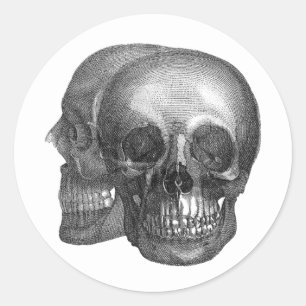 Skulls Envelope Seal Sticker