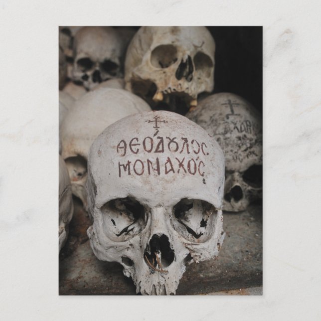 Skulls in an Orthodox Ossuary Postcard (Front)