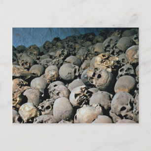 Skulls in Mount Sinai, Middle East Postcard