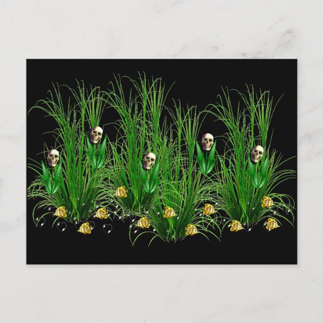 Skulls in the Weeds Postcard (Front)