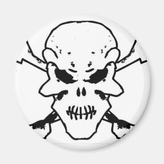 skulls magnet