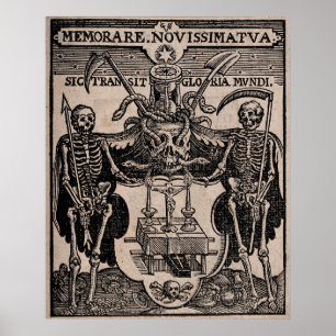 Skulls Poster