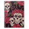 Skulls & Roses