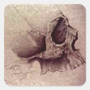 skulls square sticker