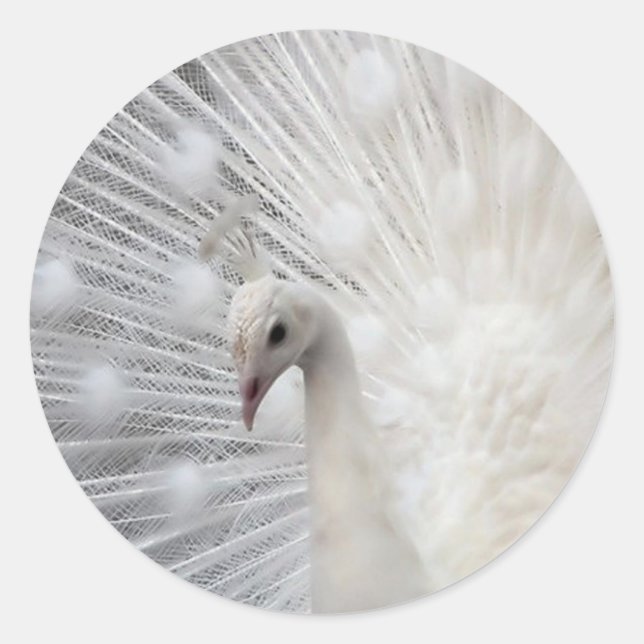 Skully Top Fun Classic Round Sticker (Front)