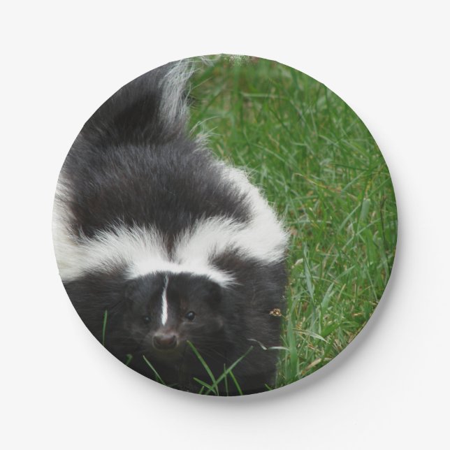 skunk-2 paper plate (Front)