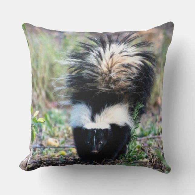 Skunk Black and White Cushion (Front)
