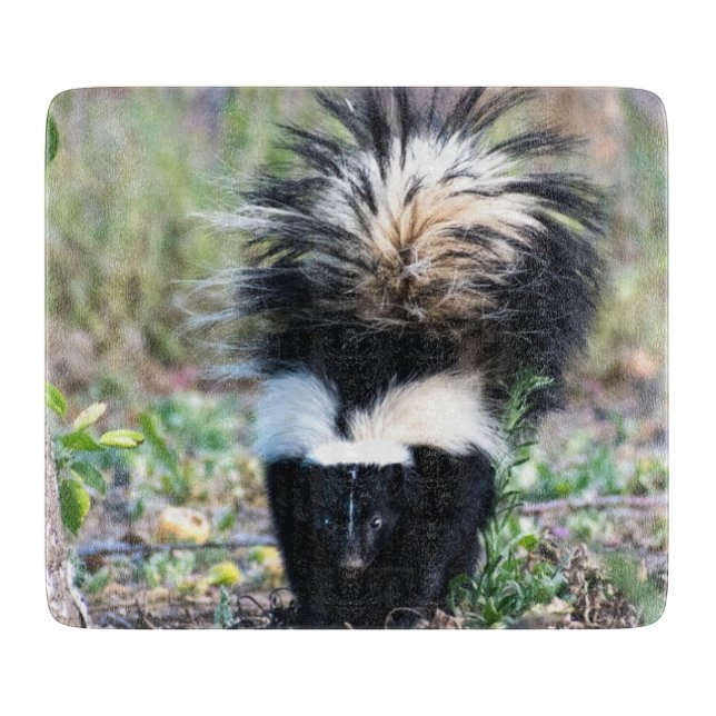Skunk Black and White Cutting Board (Front)