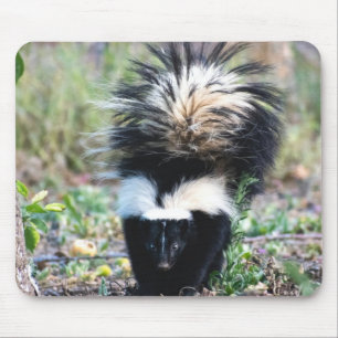 Skunk Black and White Mouse Pad