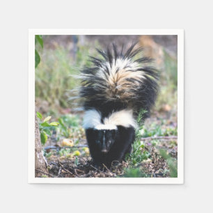 Skunk Black and White Napkin