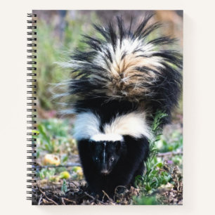 Skunk Black and White Notebook