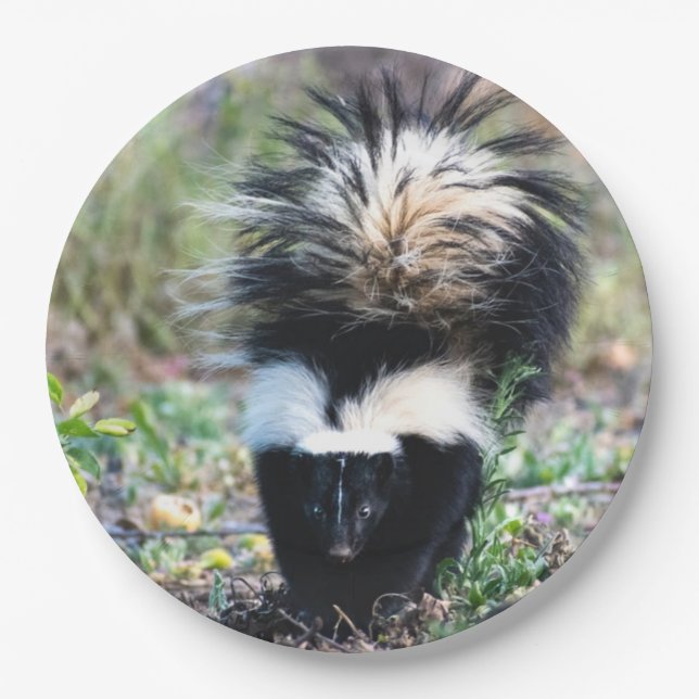 Skunk Black and White Paper Plate (Front)