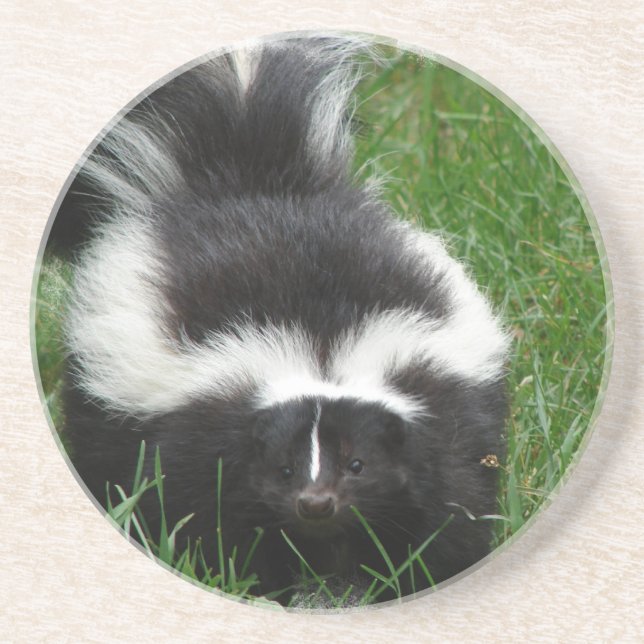 Skunk Coasters (Front)