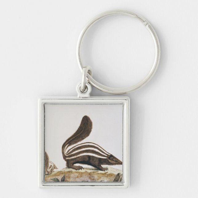 Skunk, from 'Histoire Naturelle' by Key Ring (Front)