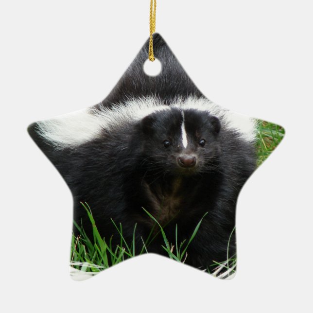 Skunk Photo Ornament (Front)