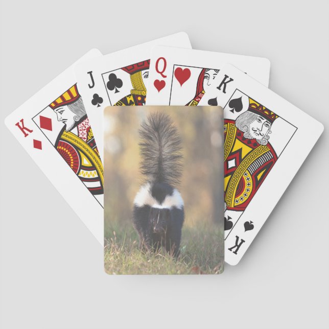 Skunk Playing Cards (Back)