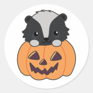 Skunk Pumpkin Cute Skunks Happy Halloween Classic  Round Sticker
