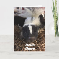**SKUNK SAYS HAPPY BIRTHDAY**