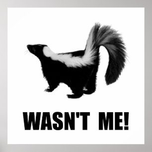 Skunk Wasn?t Me Poster