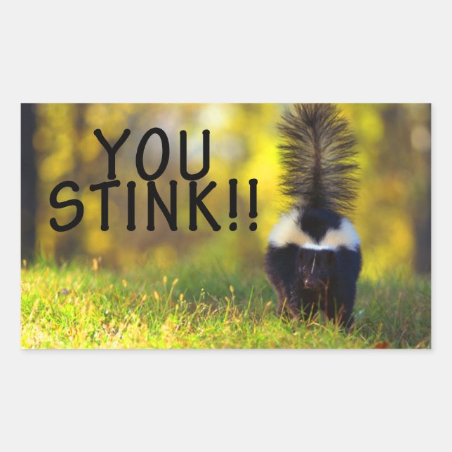 Skunk You Stink Rectangular Sticker (Front)
