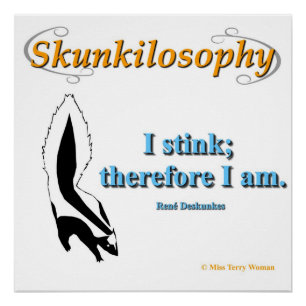 Skunkilosophy: I Stink Poster