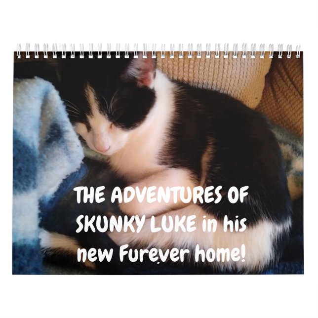 Skunky Luke's Adventures Calendar (Cover)