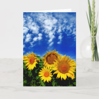 Sky and Bloom , card
