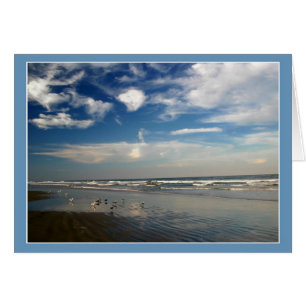 Sky and Surf