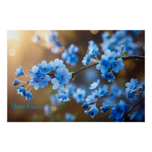 Sky-Blue Blossoms in Golden Light Poster
