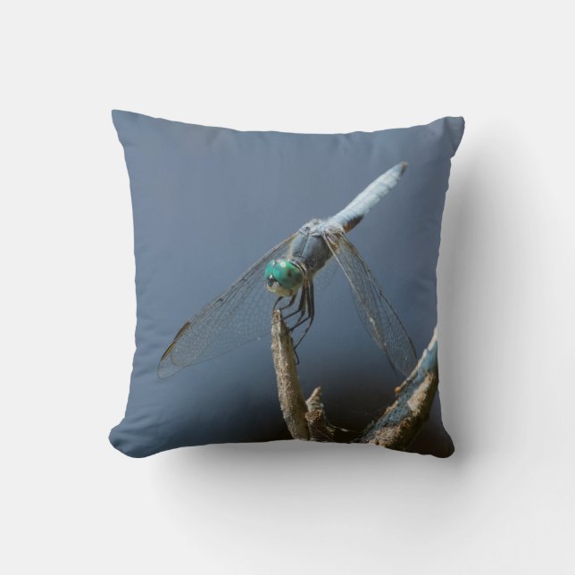 Sky blue dragonfly cushion (Front)