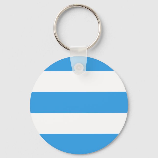 Sky Blue Striped Pattern Key Ring (Front)