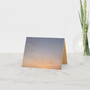 Sky Card