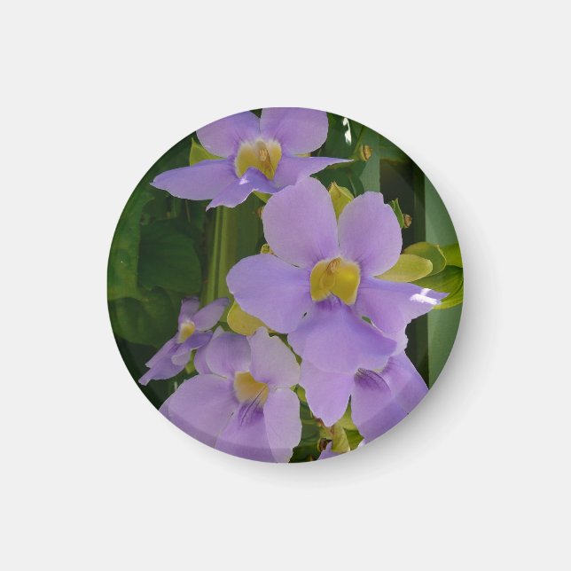 Sky Flower Vine Tropical Purple Floral Magnet (Front)