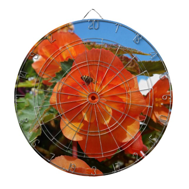 sky, flowers and bee dartboard (Front)