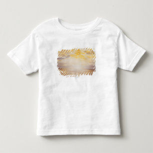 Sky Lotus Toddler T-Shirt