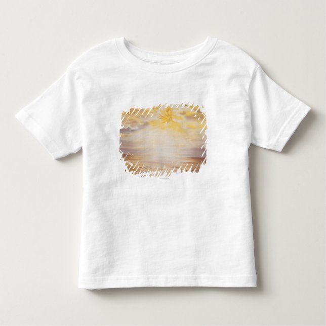 Sky Lotus Toddler T-Shirt (Front)