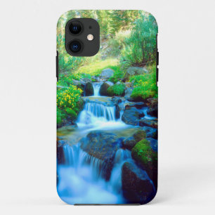 Sky Meadows in the Sierra Nevada Mountains iPhone 11 Case