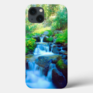 Sky Meadows in the Sierra Nevada Mountains iPhone 13 Case