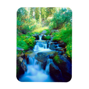 Sky Meadows in the Sierra Nevada Mountains Magnet